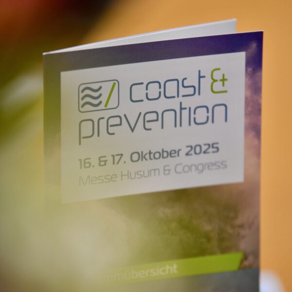Impression - Programmflyer